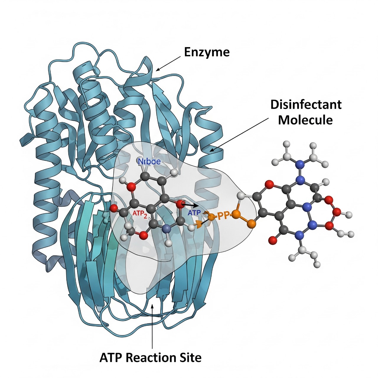 Diagram of disinfectant quenching effect on an ATP test